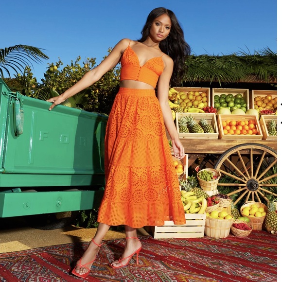 ALICE + OLIVIA Melony Sky Blue Eyelet Trim Lined Midi Skirt $560 EUC 0 - Picture 16 of 16